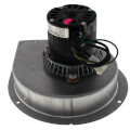 Product Image of York Direct Replacement Draft Inducer (1/50 HP, 115V, 3000 RPM)