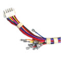 Product Image of Wiring Harness 6-pin Molex, 83L74