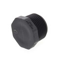 3/4" PVC Schedule 80 Plug