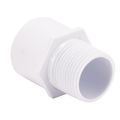 Product Image of 1" Hub x 1" MIP CPVC Water Heater Pan Drain Fitting