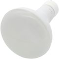 Product Image of LED Bulb, 8W