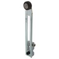 Product Image of Limit Switch Lever Arm AW+C +Options, 9007HA1
