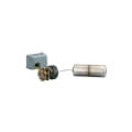Product Image of 2-1/2" MNPT Float Switch (Reverse Action)