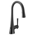 Product Image of Kurv 1 Handle Pulldown Kitchen Faucet, 1.5 GPM, 9126EWBL (Matte Black)
