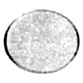 Product Image of Sealing Coupling Quartz Window
