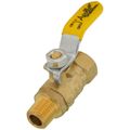 Product Image of 1/4" FNPT x MNPT Full Port Mini Ball Valve