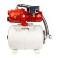 Product Image of RL-SWJ50/RL6H DualVage (115/230 V) 1/2 HP Shallow Well Jet Pump/Tank Combo