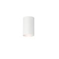 Product Image of 1 Light Outdoor Flush Mount (White)