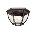 Product Image of Barrie 2 Light Flush Mount (Tannery Bronze)