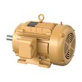 Product Image of 20 Hp 1770Rpm 3 PH 60Hz 256T Motor, EFM2334T