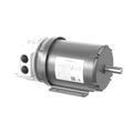 Product Image of 2 HP 1800 145t TEFC Axial Motor, ECS101A8H2DF4