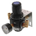 Product Image of 3/8" Pressure Regulator w/ Bracket, Gauge & Valve