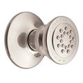 Product Image of Body Spray, 1.75 GPM, A501NL (Polished Nickel)