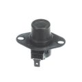 Product Image of Switch Limit 145 Exp 0.75, P48280