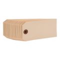 Product Image of Blank Synthetic Paper Blank Tag, BPT2