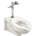 Product Image of Afwall Millennium Wall-Hung Toilet System w/ Manual Piston Flush Valve, 1.6 gpf/6.0 Lpf (White)
