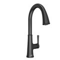 Product Image of Renate 1-Handle Pull-Down Single Spray Kitchen Faucet 1.5 gpm/5.7 Lpm (Matte Black)