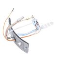 Product Image of NG Manifold Door Assembly, 100093802