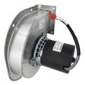 Product Image of Blower for BTL 120, 100211943
