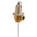 Product Image of Temperature and Pressure Relief Valve (T&P), AP12323-1