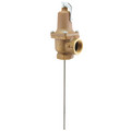 Product Image of Temperature and Pressure Relief Valve (T&P), AP13849