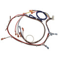 Product Image of Wiring Harness, AP14428