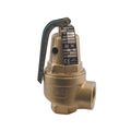 Product Image of 2" RVW60 1 Bronze Relief Valve, 174 psi