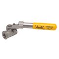 Product Image of 1" Threaded 2 Piece Standard Port SS Ball Valve w/ Spring Return Handle, 76505P01A
