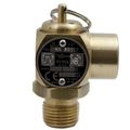 Product Image of 1/2" MNPT x 1/2" FNPT RVS52 232 LBS/HR Steam Safety Relief Valve (30 psi)