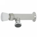Product Image of Single Temperature Self-Closing Metering Faucet, Wall Mount, with 2.2 GPM Rose Spray Outlet and Push Button Cap