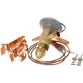 Product Image of Expansion Valve Efse - 1/6 - Zp 25psi, 303-183D