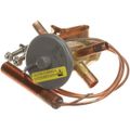 Product Image of Exp Valve Bbioe - 1/3 - Zp 2" x 3" Odf 30", 303-234D