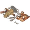 Product Image of TXV Bbiv - 1/3 - Zp40, 1/4" x 3"/8", 303-277D