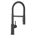 Product Image of Catris Flexo Semi-Pro Pull-Down Dual-Spray Kitchen Faucet (Matte Black)