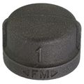 Product Image of 1" Black Cap