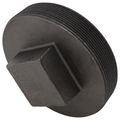 Product Image of 6" Black Plug