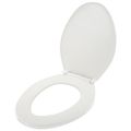 Product Image of Slow Close Plastic Elongated Toilet Seat (White)