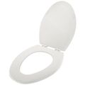 Product Image of Molded Wood Elongated Toilet Seat (White)