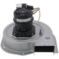 Product Image of 208-230v1ph 3345rpm Inducer, BLW01369