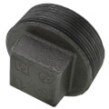 Product Image of 2" Black Plug