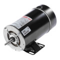 Product Image of Flex-48 Above Ground Pool & Spa Motor w/ SS Shaft & Ball Bearing (230/115V, 3450 RPM, 1-1/2 HP)