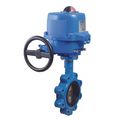 Product Image of 6" Lug Butterfly Valve w/ VB190M-002 24V AC/DC Metal Electric Actuator