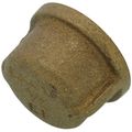 Product Image of 1/2" Threaded Brass Cap (Lead Free)