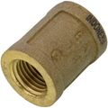 Product Image of 1/4" FIP Brass Coupling (Lead Free)