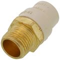 Product Image of 1/2" CPVC x Male Brass Adapter (Lead Free)