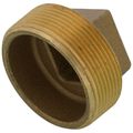 Product Image of 2" Brass Plug, Cored (Lead Free)