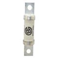 Product Image of Bussmann 100 Amp Fast-Acting Class aR Fuse (700V)