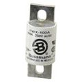 Product Image of Bussmann 100 Amp Fast-Acting Fuse (250V)