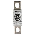 Product Image of Bussmann 60 Amp Fast-Acting Fuse (250V)