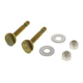 Product Image of 5/16" x 2-1/4" Snap-Off Closet Bolts w/ Round Washer Boxed